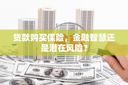 蒙阴贷款购买保险，金融智慧还是潜在风险？