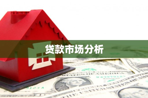 蒙阴贷款市场分析