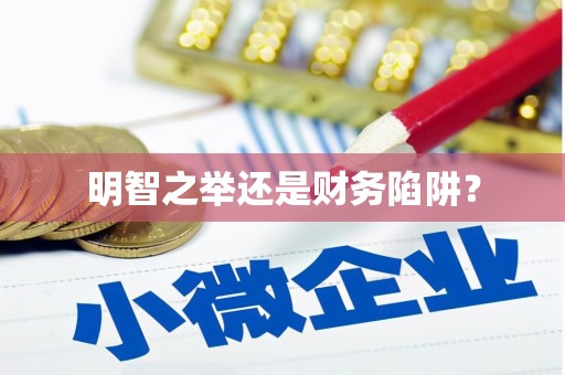 蒙阴明智之举还是财务陷阱？