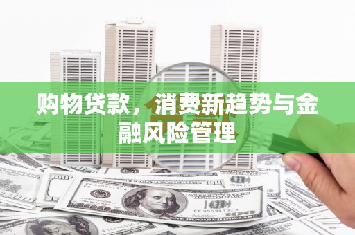 蒙阴购物贷款，消费新趋势与金融风险管理