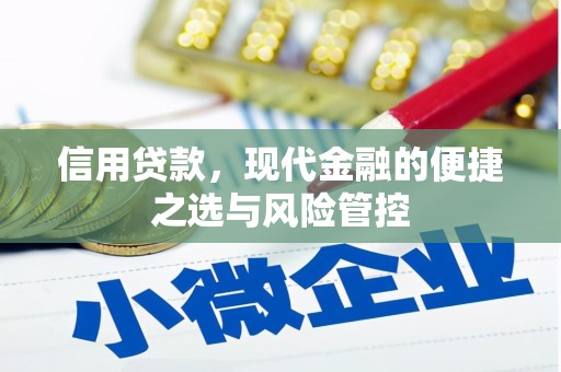 蒙阴信用贷款，现代金融的便捷之选与风险管控