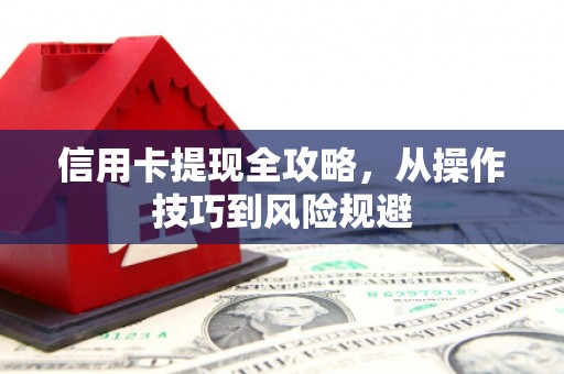 蒙阴信用卡提现全攻略，从操作技巧到风险规避