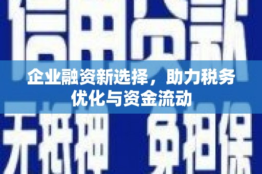 蒙阴企业融资新选择，助力税务优化与资金流动