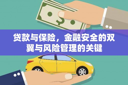 蒙阴贷款与保险，金融安全的双翼与风险管理的关键