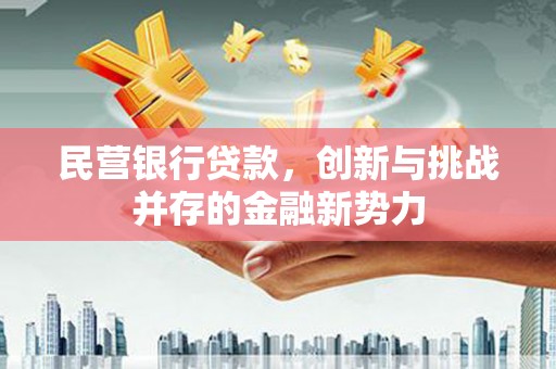 蒙阴民营银行贷款，创新与挑战并存的金融新势力