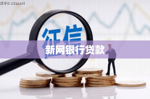 蒙阴新网银行贷款