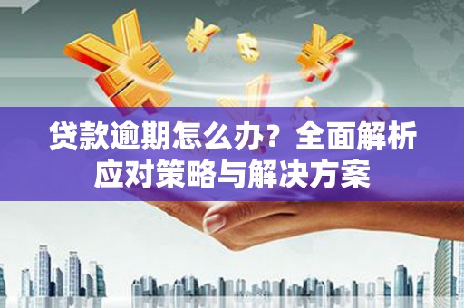 蒙阴贷款逾期怎么办？全面解析应对策略与解决方案