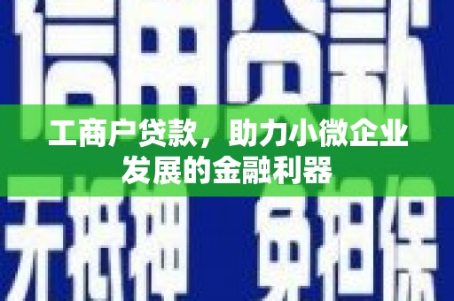 蒙阴工商户贷款,助力小微企业发展的金融利器 蒙阴工商户贷款,助力小微企业发展的金融利器