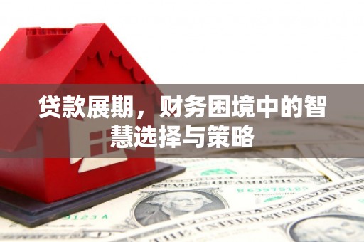 蒙阴贷款展期，财务困境中的智慧选择与策略