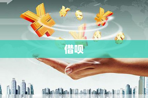 蒙阴借呗