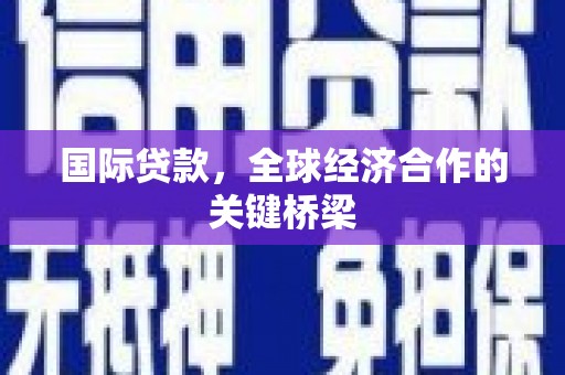 蒙阴国际贷款，全球经济合作的关键桥梁