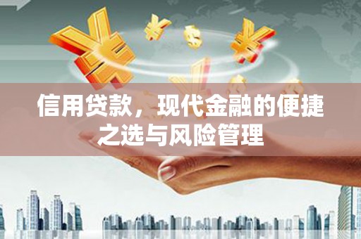 蒙阴信用贷款，现代金融的便捷之选与风险管理