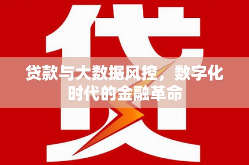 蒙阴贷款与大数据风控，数字化时代的金融革命