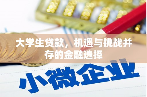 蒙阴大学生贷款，机遇与挑战并存的金融选择