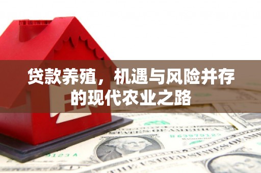 蒙阴贷款养殖，机遇与风险并存的现代农业之路