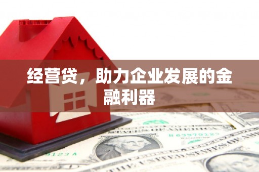 蒙阴经营贷，助力企业发展的金融利器