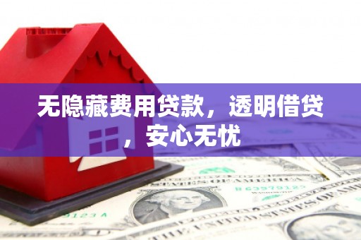 蒙阴无隐藏费用贷款，透明借贷，安心无忧