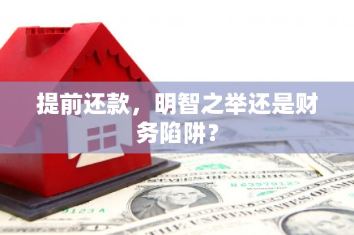 蒙阴提前还款，明智之举还是财务陷阱？