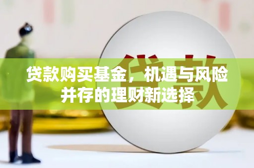 蒙阴贷款购买基金，机遇与风险并存的理财新选择