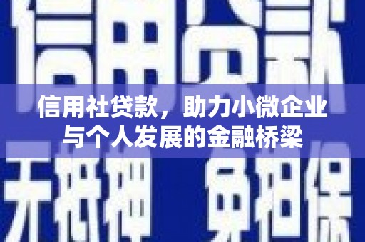 蒙阴信用社贷款，助力小微企业与个人发展的金融桥梁