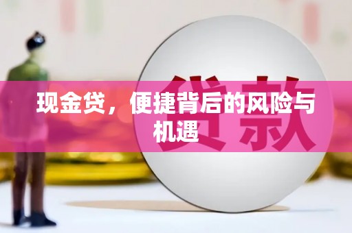 蒙阴现金贷，便捷背后的风险与机遇