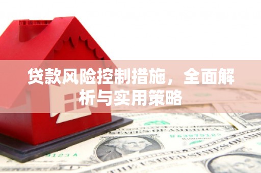 蒙阴贷款风险控制措施，全面解析与实用策略