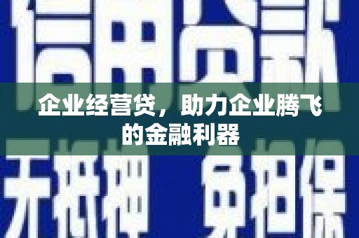蒙阴企业经营贷，助力企业腾飞的金融利器