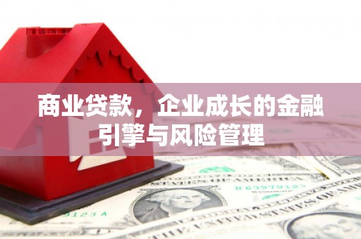 蒙阴商业贷款，企业成长的金融引擎与风险管理