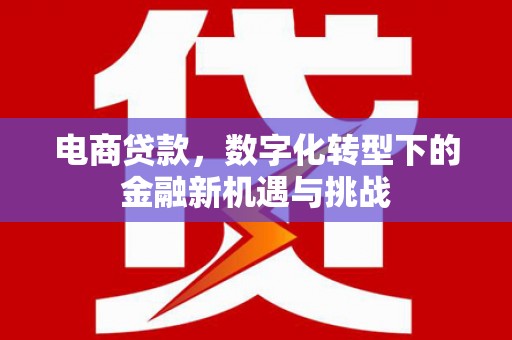 蒙阴电商贷款，数字化转型下的金融新机遇与挑战