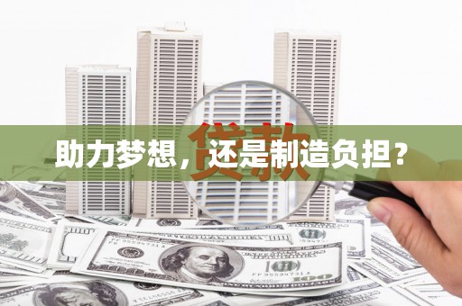 蒙阴助力梦想，还是制造负担？