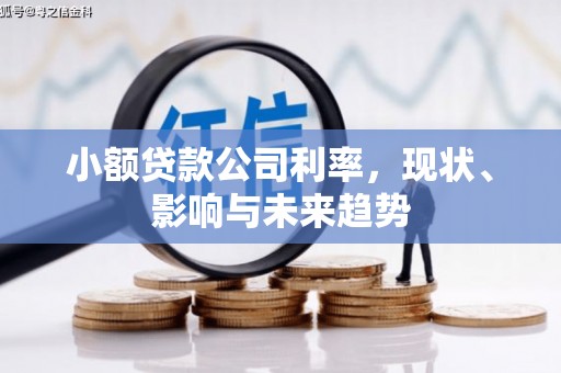 蒙阴小额贷款公司利率，现状、影响与未来趋势