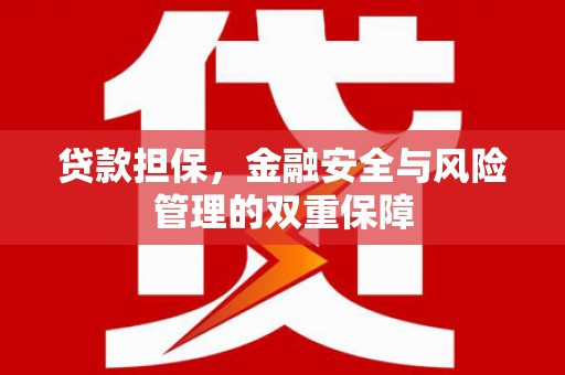 蒙阴贷款担保，金融安全与风险管理的双重保障