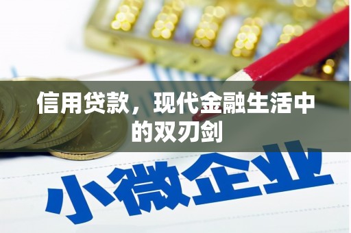 蒙阴信用贷款，现代金融生活中的双刃剑