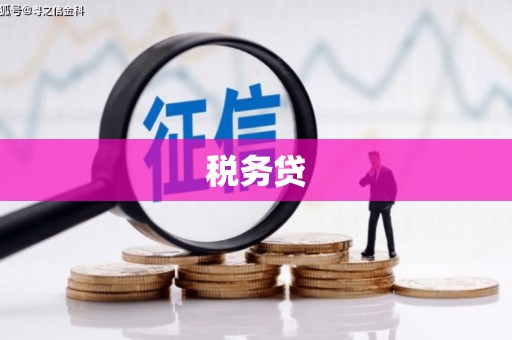 蒙阴税务贷