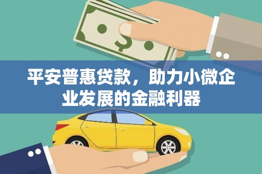 蒙阴平安普惠贷款，助力小微企业发展的金融利器