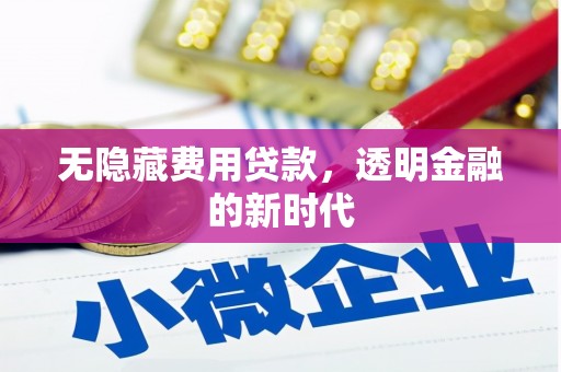 蒙阴无隐藏费用贷款，透明金融的新时代