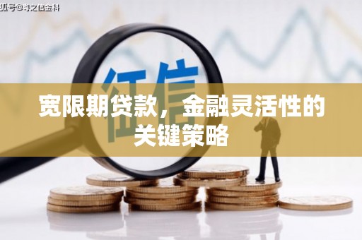 蒙阴宽限期贷款，金融灵活性的关键策略