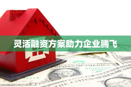 蒙阴灵活融资方案助力企业腾飞