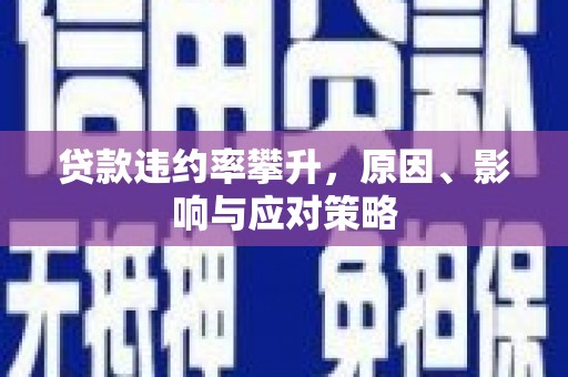 蒙阴贷款违约率攀升，原因、影响与应对策略