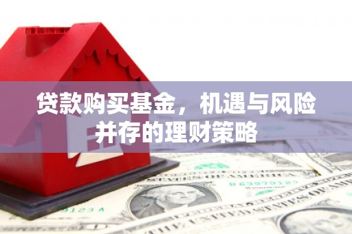 蒙阴贷款购买基金，机遇与风险并存的理财策略