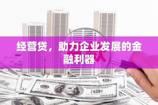 蒙阴经营贷，助力企业发展的金融利器