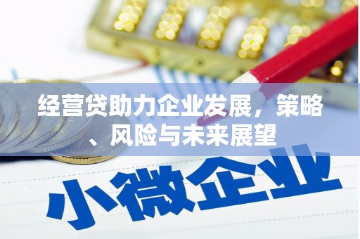 蒙阴经营贷助力企业发展，策略、风险与未来展望