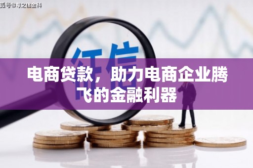 蒙阴电商贷款，助力电商企业腾飞的金融利器