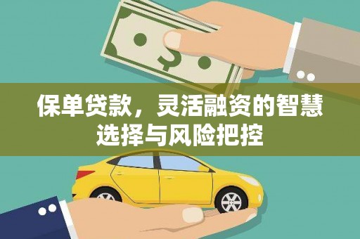 蒙阴保单贷款，灵活融资的智慧选择与风险把控