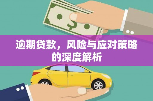 蒙阴逾期贷款，风险与应对策略的深度解析