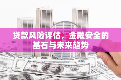 蒙阴贷款风险评估，金融安全的基石与未来趋势