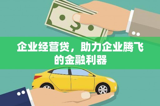 蒙阴企业经营贷，助力企业腾飞的金融利器