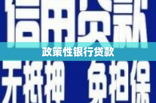 蒙阴政策性银行贷款