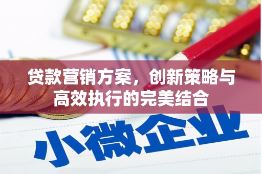 蒙阴贷款营销方案，创新策略与高效执行的完美结合