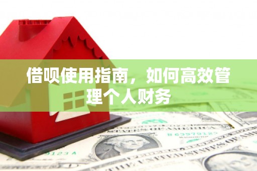 蒙阴借呗使用指南，如何高效管理个人财务